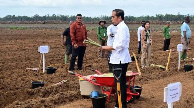 Komunitas Adat Merauke Tolak PSN Food Estate: Proyek Berlangsung Brutal